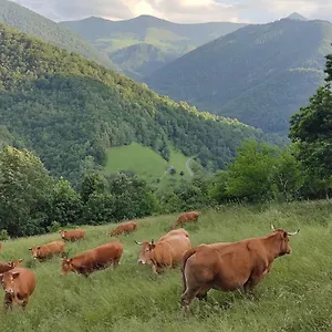 La Grange De L'ours Hébergement de vacances Saint-Lary (Ariege)